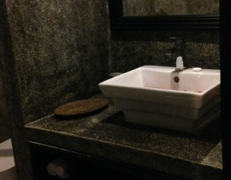 Love it or Leave it | Concrete Bathroom