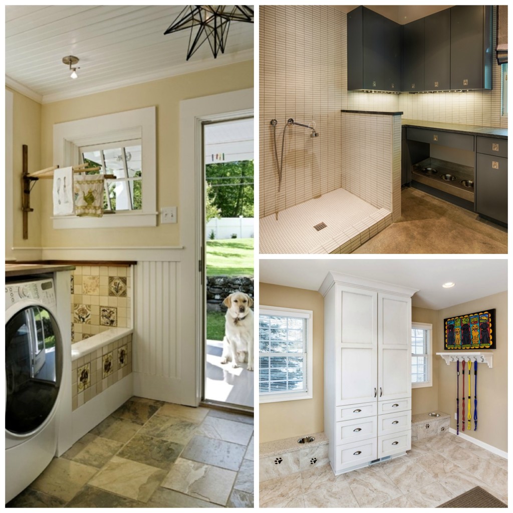 Mudroom design for dogs