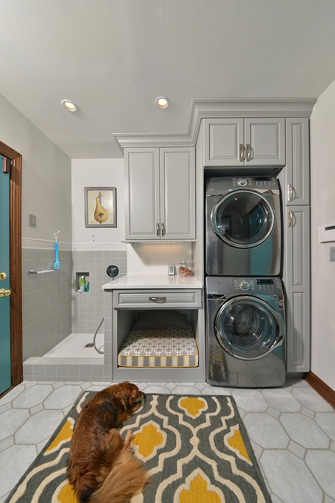 interior design laundry room with dog station