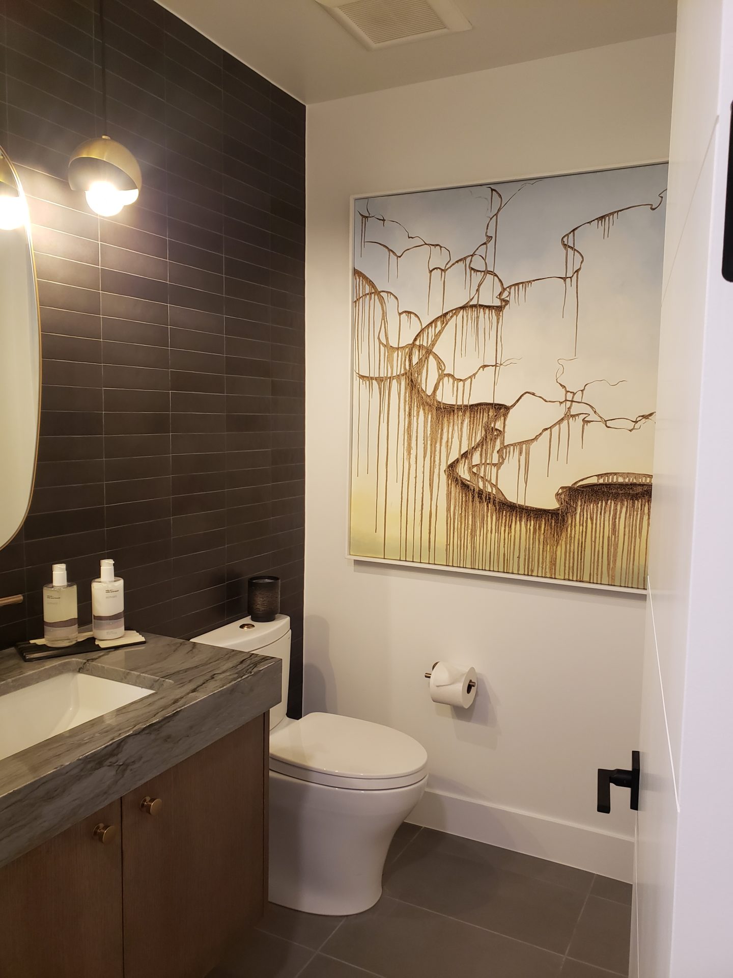 Dark and Moody Powderroom, bathroom Denver Colorado