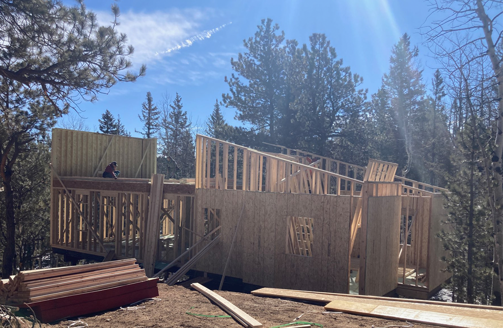 Framing of Stilt House