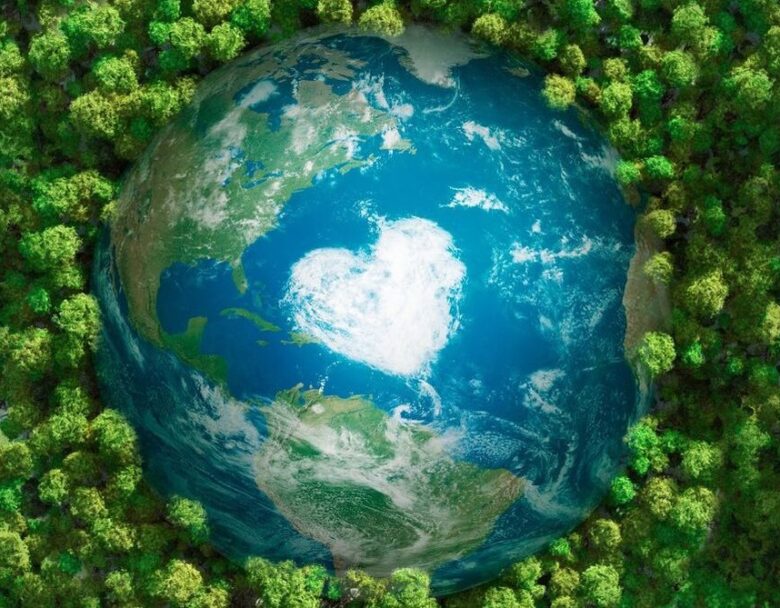 Beautiful Habitat Environmental Goals