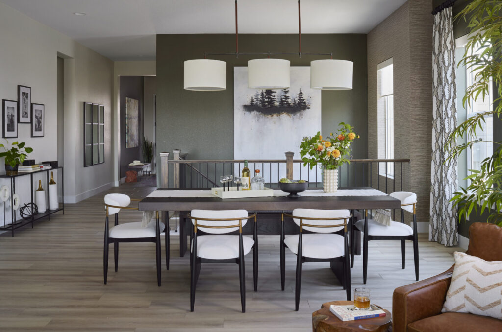 Modern Home Designer Castle PInes CO