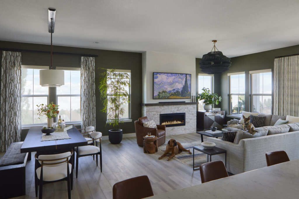 Interior Design Services Castle Pines to Bouler